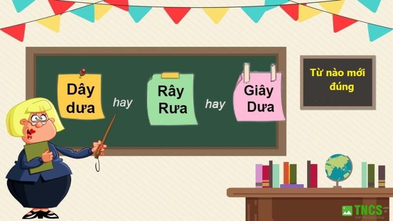 Dây dưa hay Rây Rưa hay Giây Dưa
